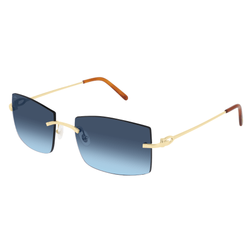 Cartier CT0005RS eyeglasses - Modern Eye Care Portland