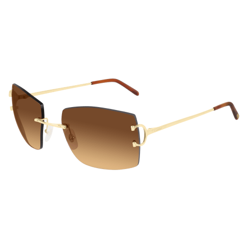 Cartier CT0009RS eyeglasses - Modern Eye Care Portland