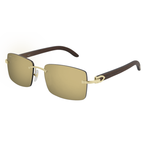 Cartier CT0012RS eyeglasses in CT0012RS-001 - Modern Eye Care Portland