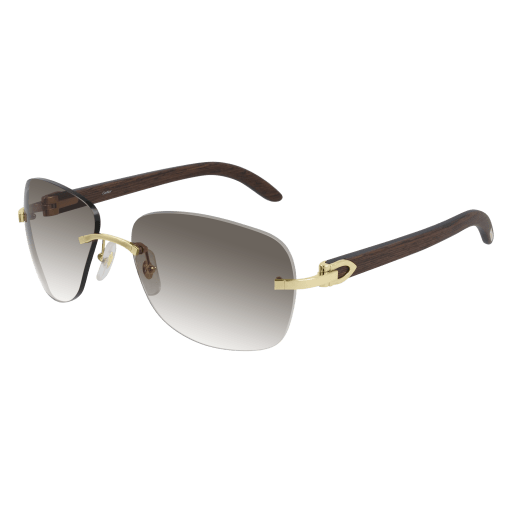 Cartier CT0014RS eyeglasses in CT0014RS-001 - Modern Eye Care Portland