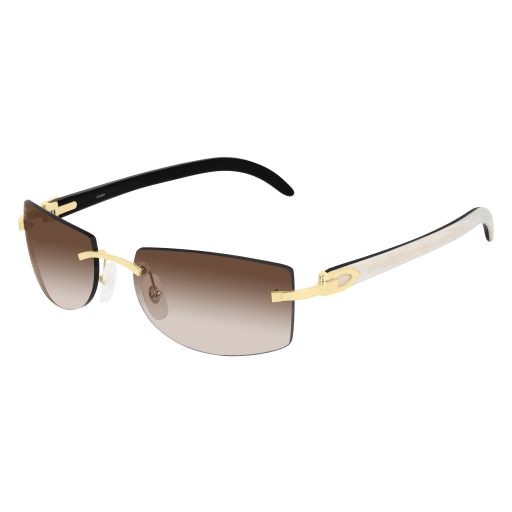 Cartier CT0017RS eyeglasses in CT0017RS-001 - Modern Eye Care Portland