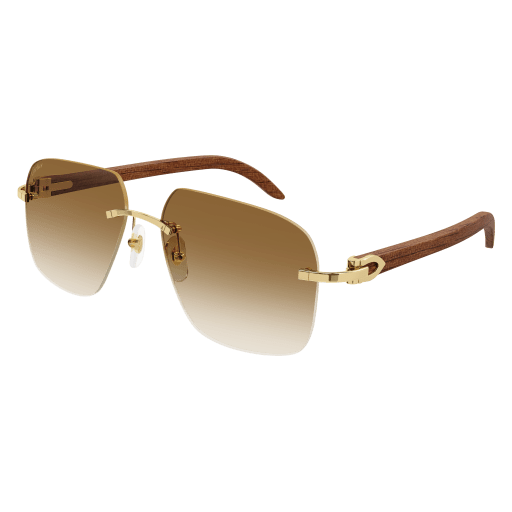 Cartier CT0041RS eyeglasses in CT0041RS-001 - Modern Eye Care Portland