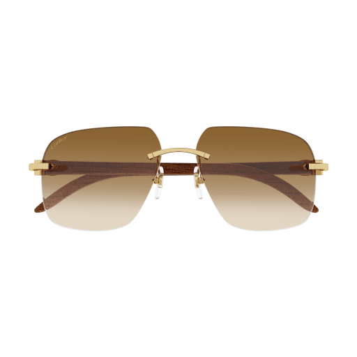Cartier CT0041RS eyeglasses in CT0041RS-001 - Modern Eye Care Portland