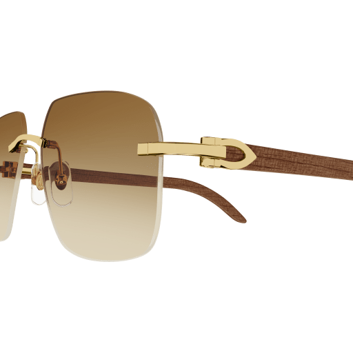 Cartier CT0041RS eyeglasses in CT0041RS-001 - Modern Eye Care Portland