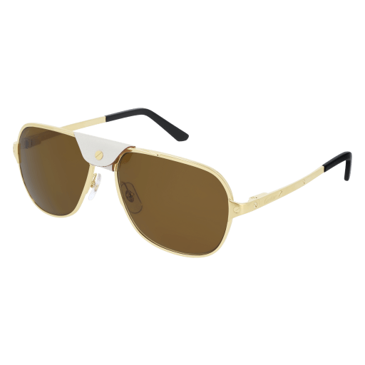 Cartier CT0165S eyeglasses in CT0165S-005 - Modern Eye Care Portland