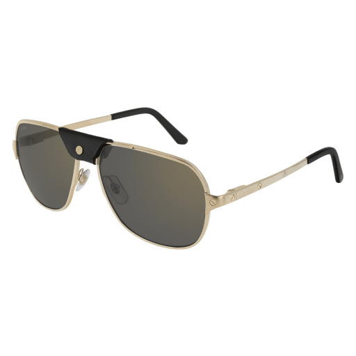 Cartier CT0165S eyeglasses in CT0165S-007 - Modern Eye Care Portland