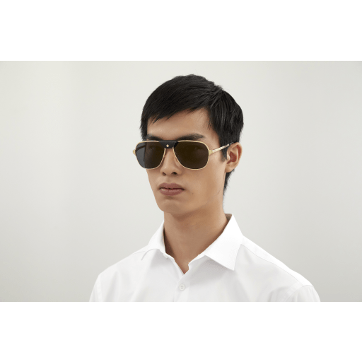 Cartier CT0165S eyeglasses in CT0165S-007 - Modern Eye Care Portland