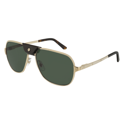 Cartier CT0165S eyeglasses in CT0165S-008 - Modern Eye Care Portland