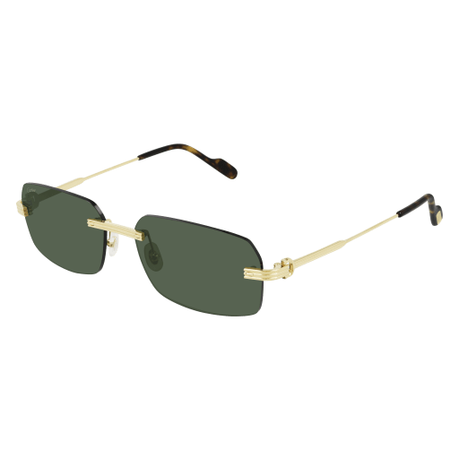 Cartier CT0271S eyeglasses in CT0271S-002 - Modern Eye Care Portland