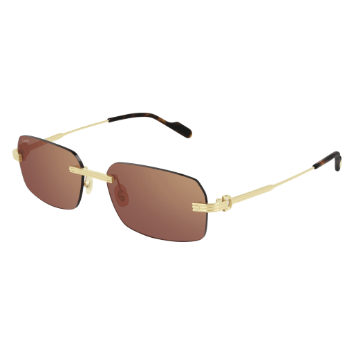 Cartier CT0271S eyeglasses in CT0271S-004 - Modern Eye Care Portland