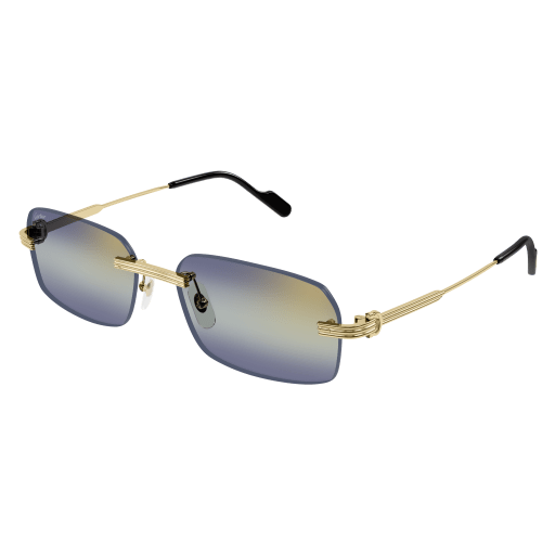 Cartier CT0271S eyeglasses in CT0271S-006 - Modern Eye Care Portland