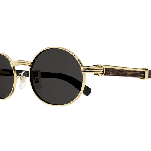 Cartier CT0464S eyeglasses in CT0464S-001 - Modern Eye Care Portland