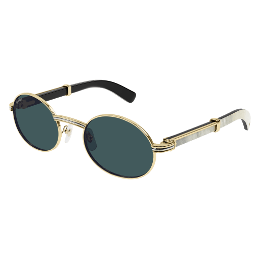 Cartier CT0464S eyeglasses in CT0464S-003 - Modern Eye Care Portland
