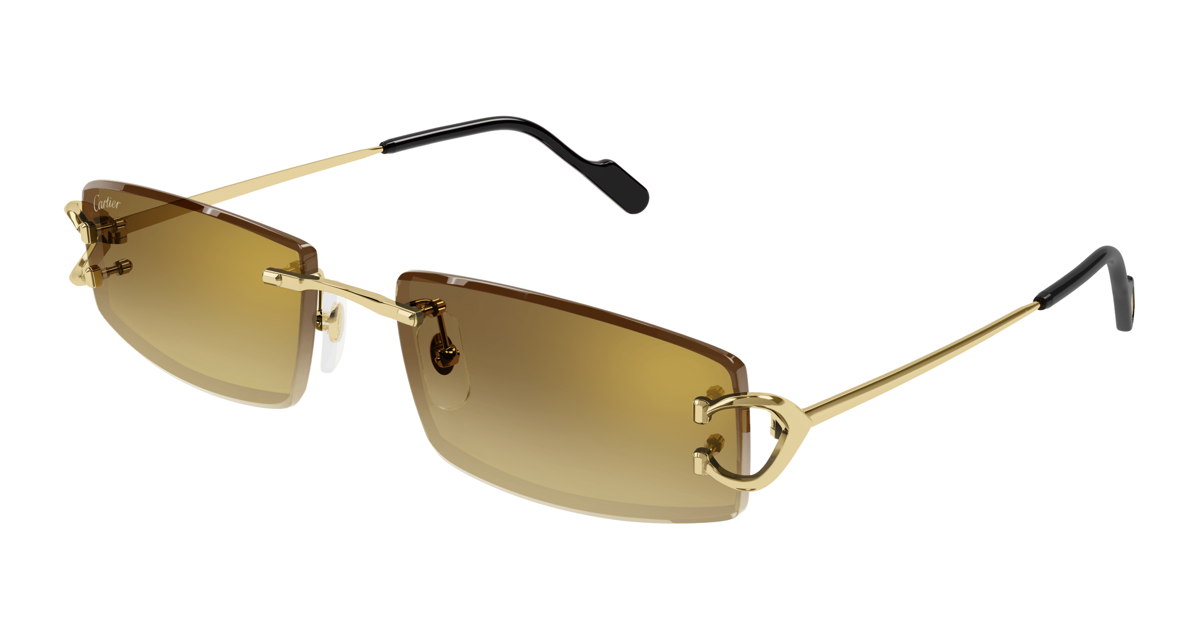 Cartier CT0465S eyeglasses in CT0465S-004 - Modern Eye Care Portland