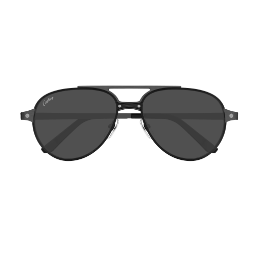 Cartier CT0476S eyeglasses in CT0476S-005 - Modern Eye Care Portland
