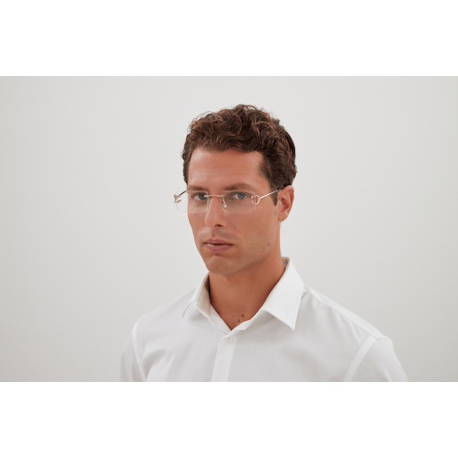 Cartier CT0488O eyeglasses in CT0488O-001 - Modern Eye Care Portland
