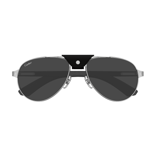 Cartier CT0495S eyeglasses in CT0495S-003 - Modern Eye Care Portland