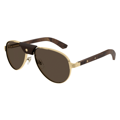 Cartier CT0495S eyeglasses in CT0495S-004 - Modern Eye Care Portland