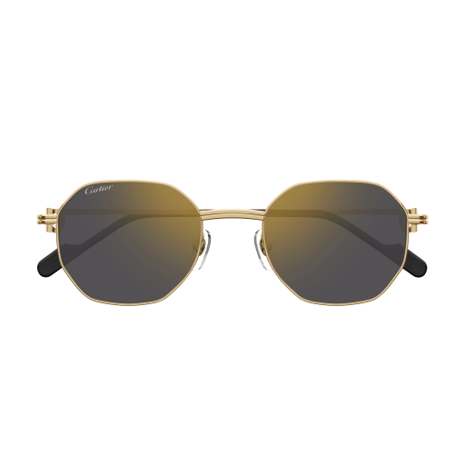 Cartier CT0500S eyeglasses in CT0500S-001 - Modern Eye Care Portland