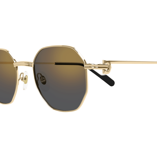 Cartier CT0500S eyeglasses in CT0500S-001 - Modern Eye Care Portland