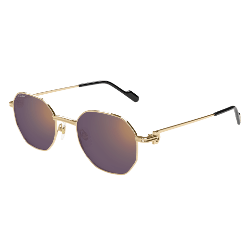 Cartier CT0500S eyeglasses in CT0500S-004 - Modern Eye Care Portland