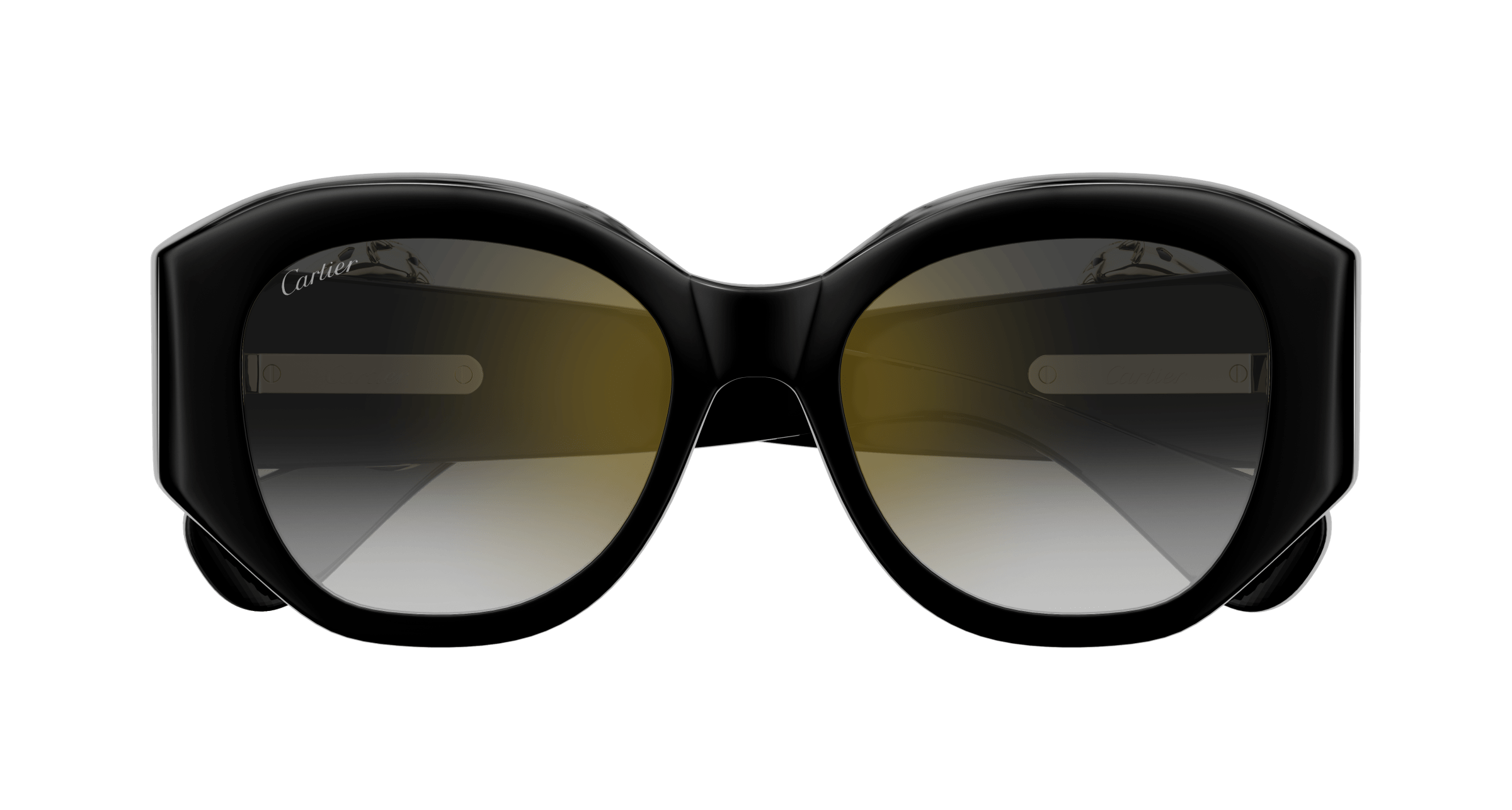 Cartier CT0502S Eyeglasses | Modern Eye Care Portland, OR display picture 1