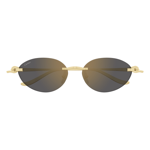 Cartier CT0504S eyeglasses in CT0504S-001 - Modern Eye Care Portland
