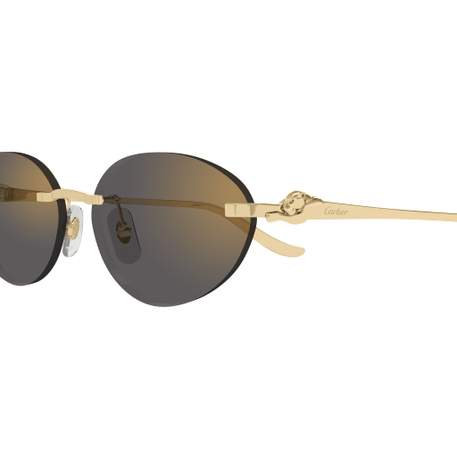 Cartier CT0504S eyeglasses in CT0504S-001 - Modern Eye Care Portland