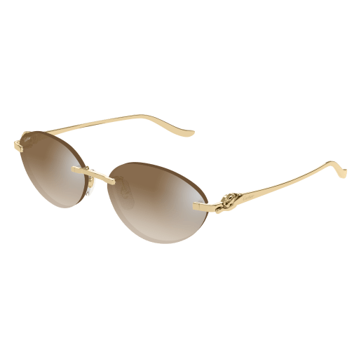Cartier CT0504S eyeglasses in CT0504S-003 - Modern Eye Care Portland