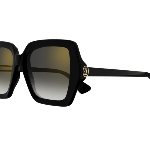 Cartier CT0507S eyeglasses in CT0507S-001 - Modern Eye Care Portland