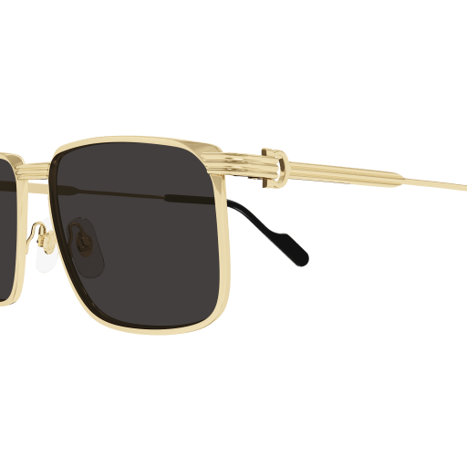Cartier CT0534S eyeglasses in CT0534S-001 - Modern Eye Care Portland