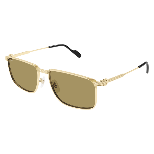 Cartier CT0534S eyeglasses in CT0534S-004 - Modern Eye Care Portland