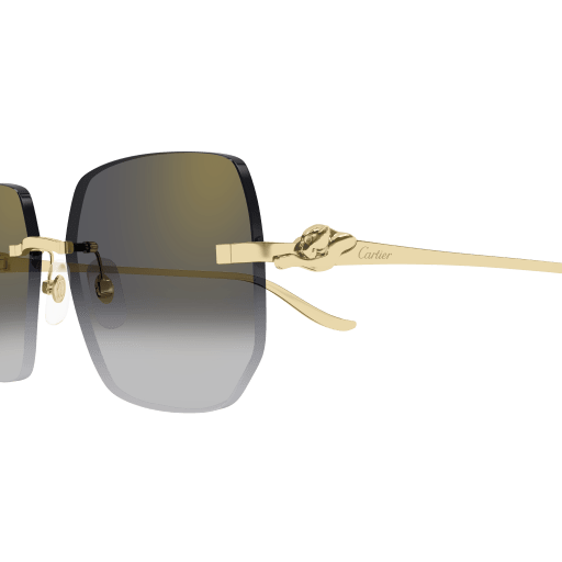 Cartier CT0549S eyeglasses in CT0549S-001 - Modern Eye Care Portland