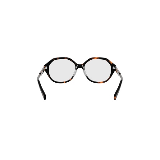 Celine CL50167F eyeglasses in 052 - Modern Eye Care Portland