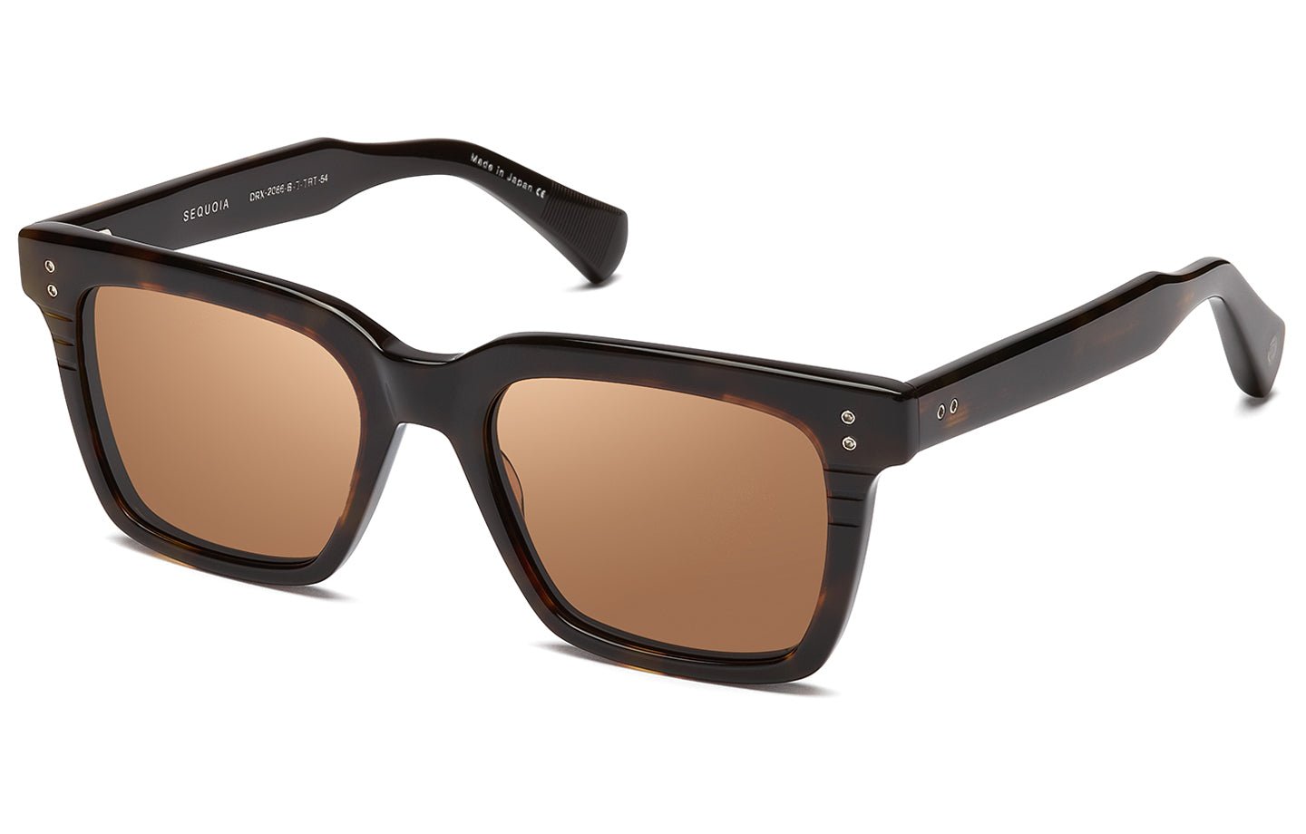 DITA SEQUOIA sunglasses in Dark Tortoise-Burnt Brown - Dark Brown - Modern Eye Care Portland
